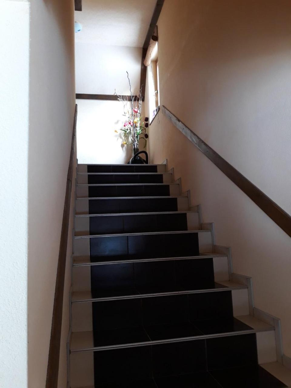 Apartments Vucko 弗拉西克 外观 照片